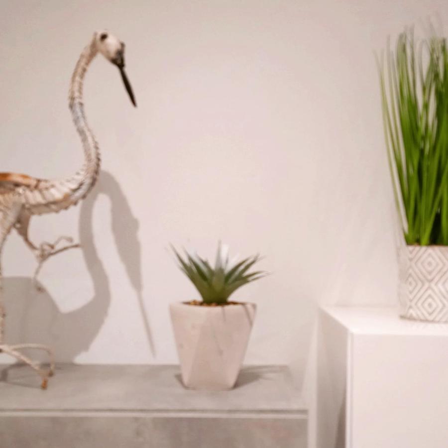 La Casa Di Andre Apartment ซานเรโม ภายนอก รูปภาพ